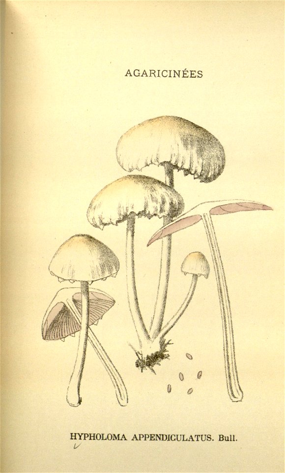n88_w1150