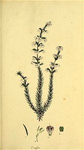 n44_w1150