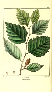 n107_w1150