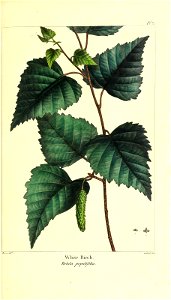 n104_w1150