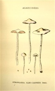 n164_w1150