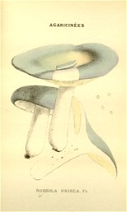 n134_w1150