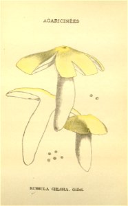 n119_w1150