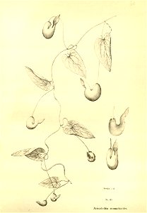 n212_w1150