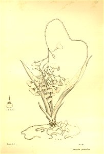 n197_w1150