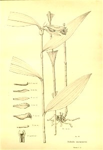 n182_w1150