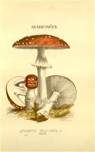 n13_w1150