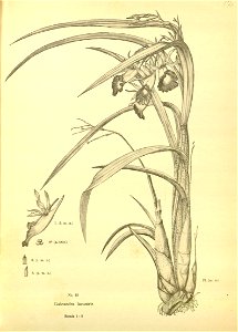 n167_w1150
