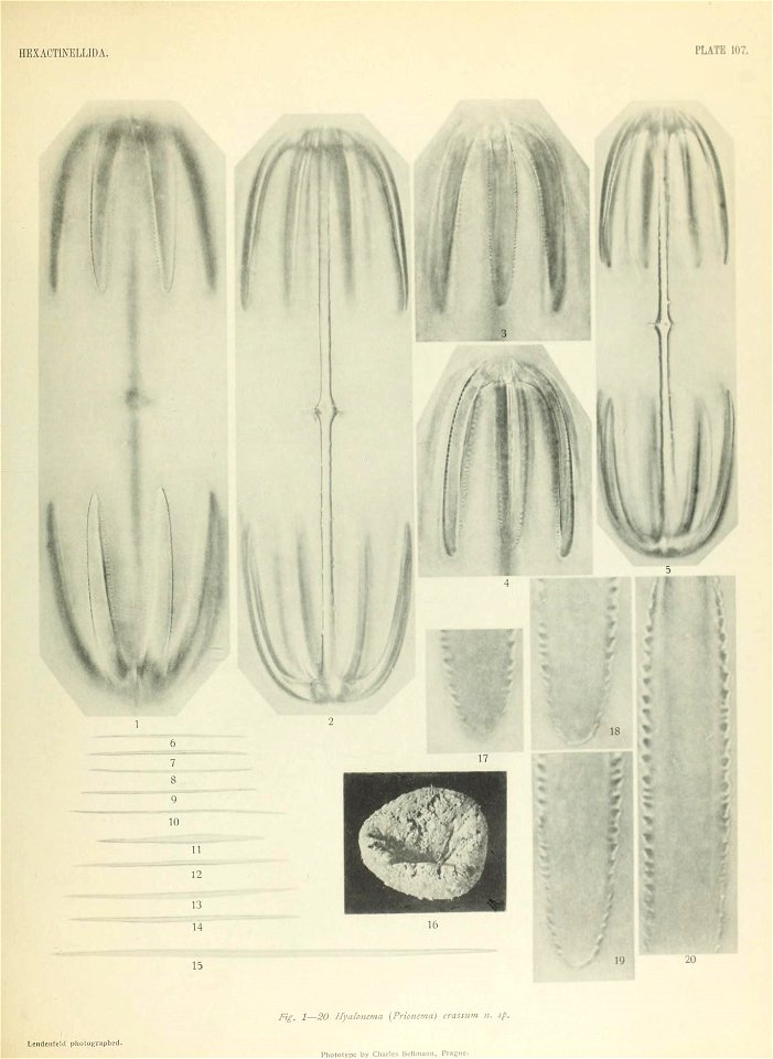 n838_w1150