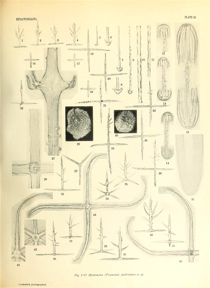 n658_w1150