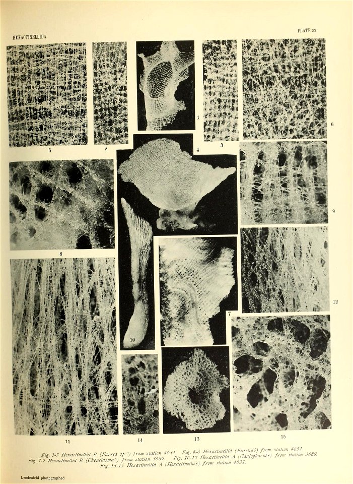 n538_w1150