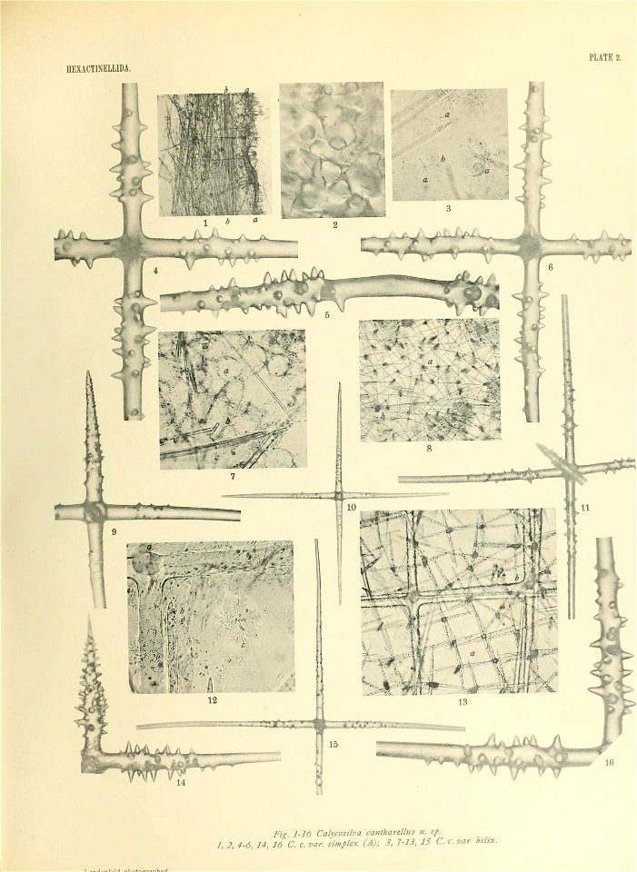 n418_w1150