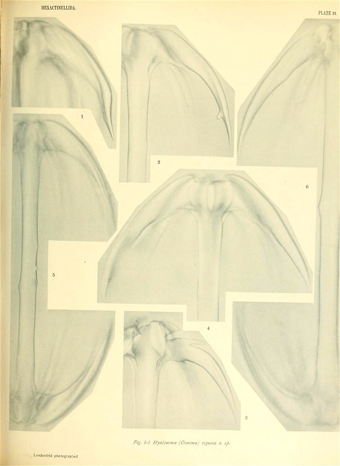 n774_w1150