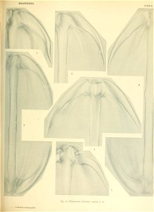 n774_w1150