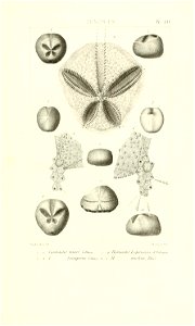 n110_w1150