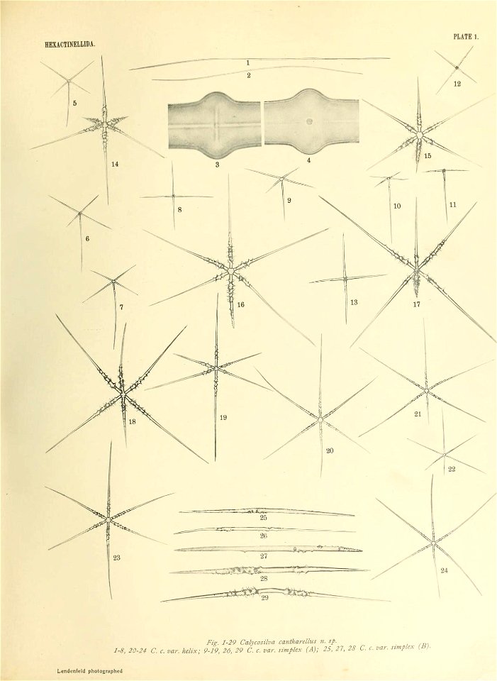 n414_w1150