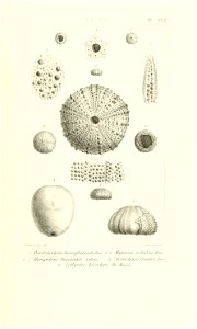 n48_w1150