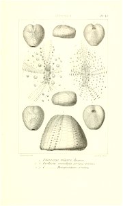 n108_w1150