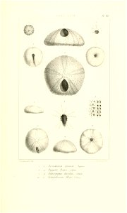 n18_w1150