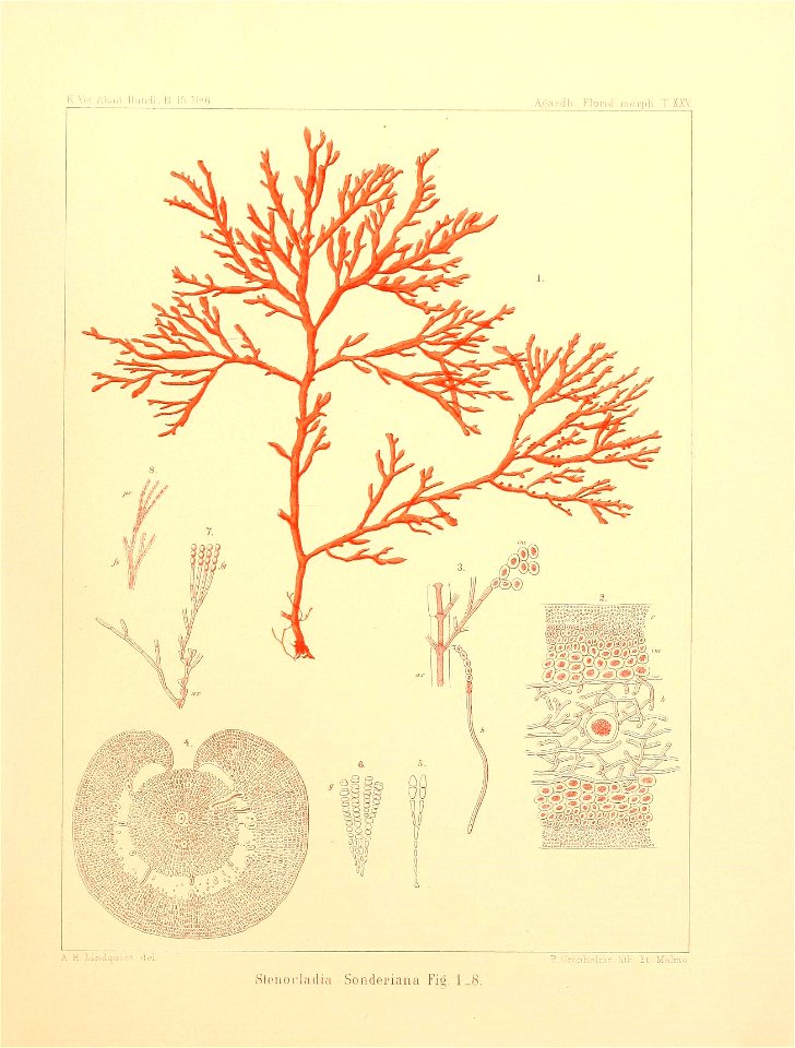 n54_w1150