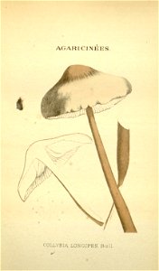 n161_w1150