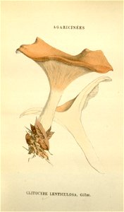n131_w1150