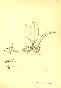 n194_w1150