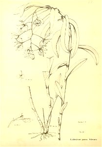 n209_w1150