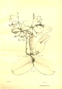 n179_w1150