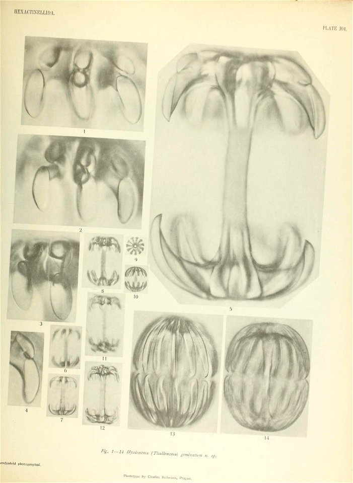 n826_w1150
