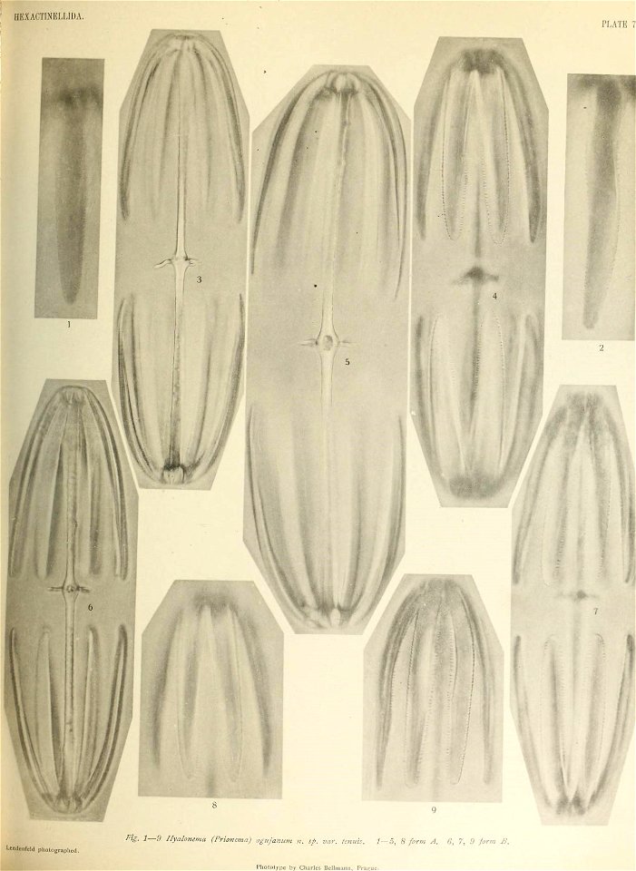 n706_w1150