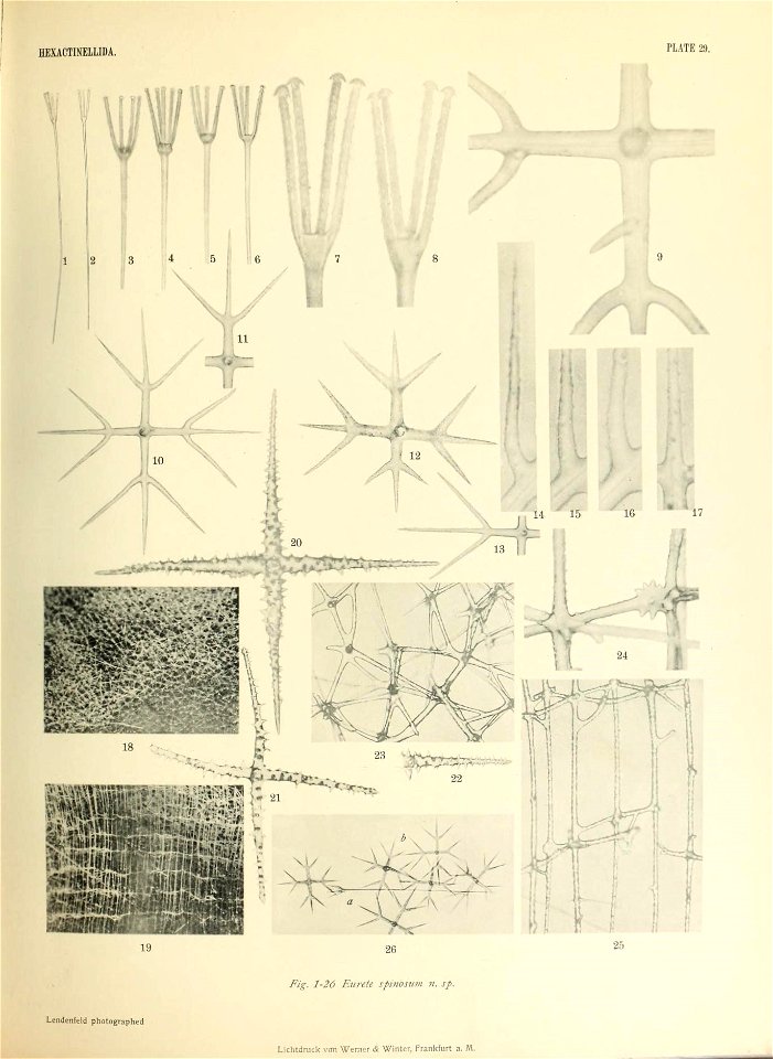 n526_w1150