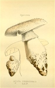 n9_w1150
