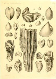 n68_w1150