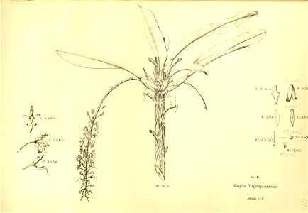 n193_w1150