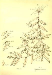 n178_w1150