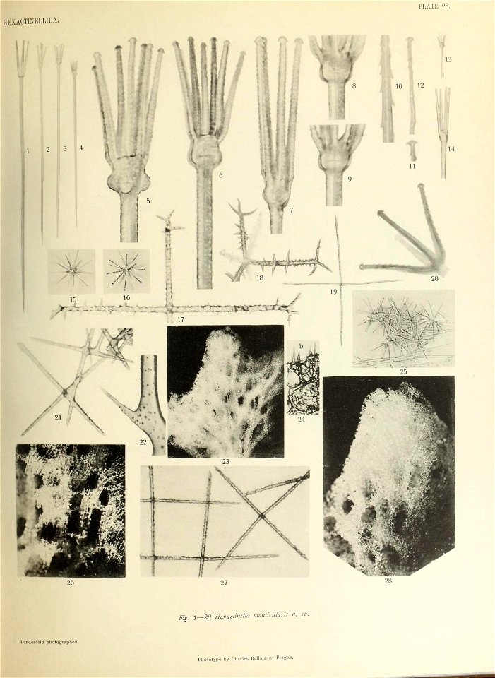 n522_w1150