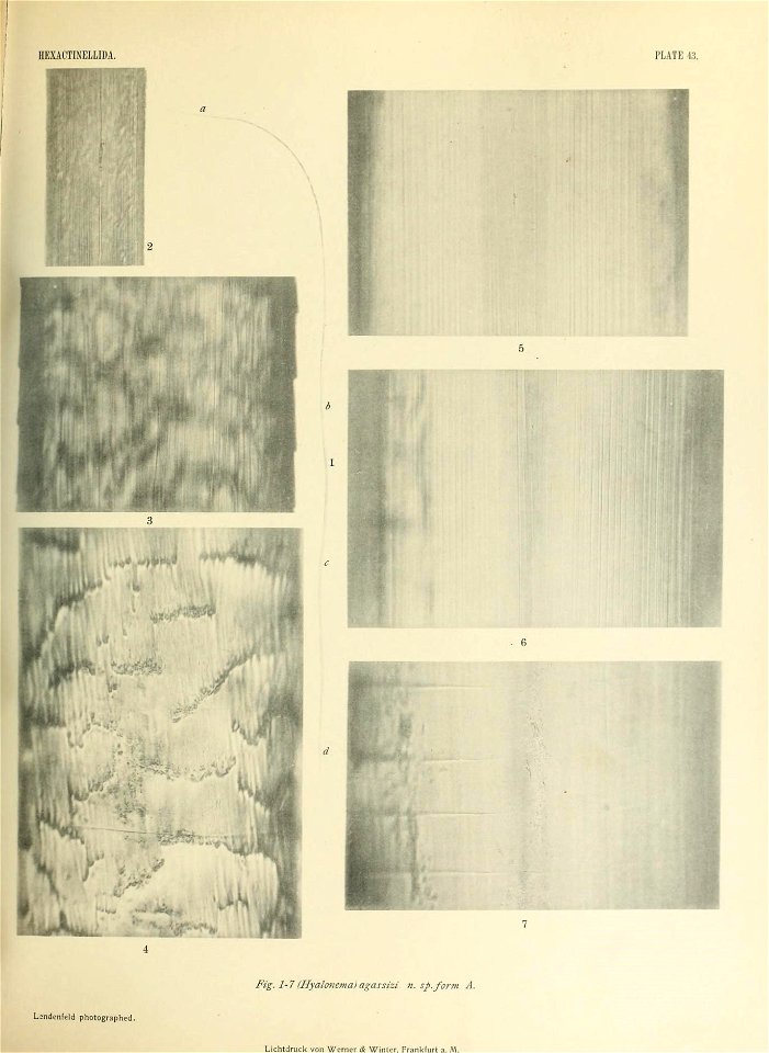 n582_w1150