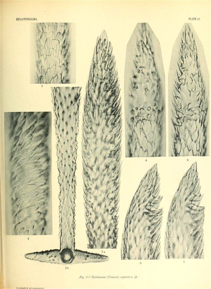 n758_w1150
