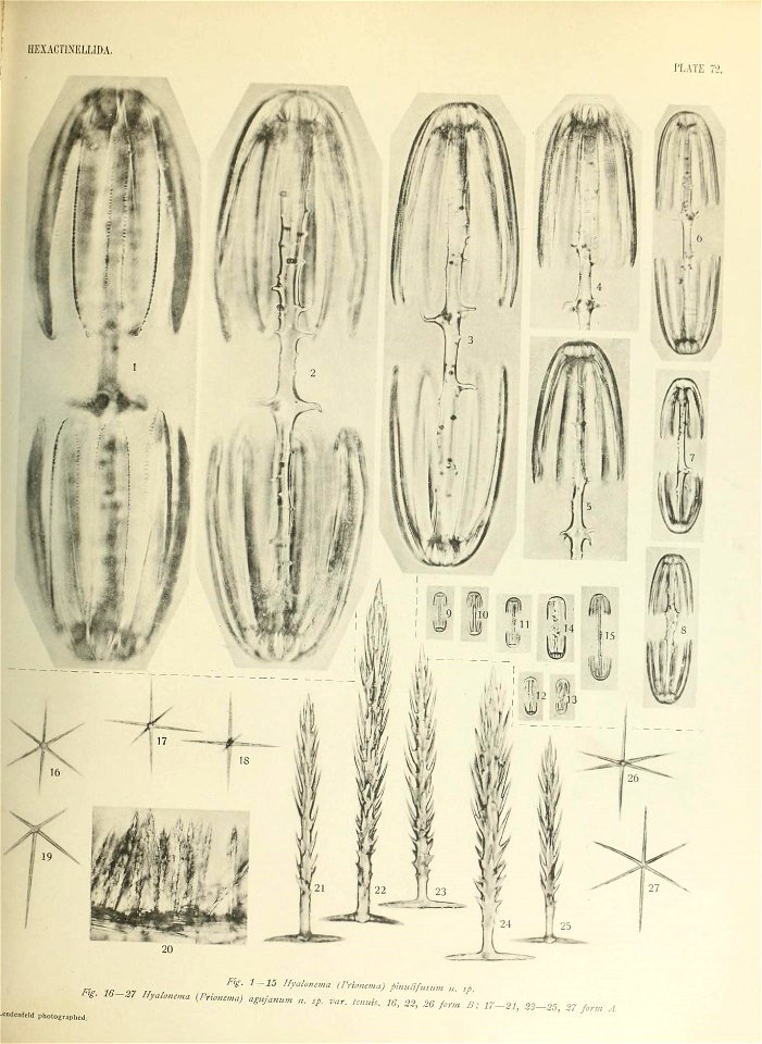 n698_w1150
