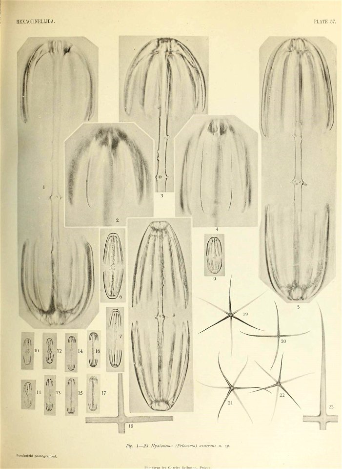 n638_w1150