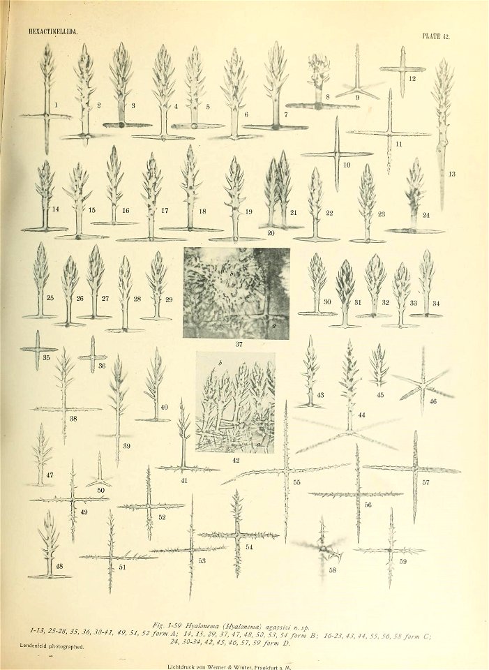 n578_w1150