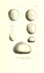 n40_w1150