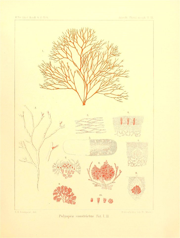 n16_w1150