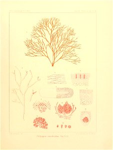 n16_w1150