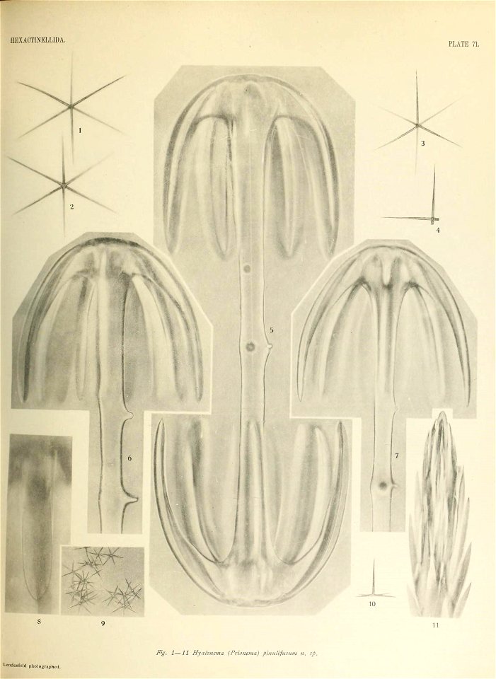n694_w1150