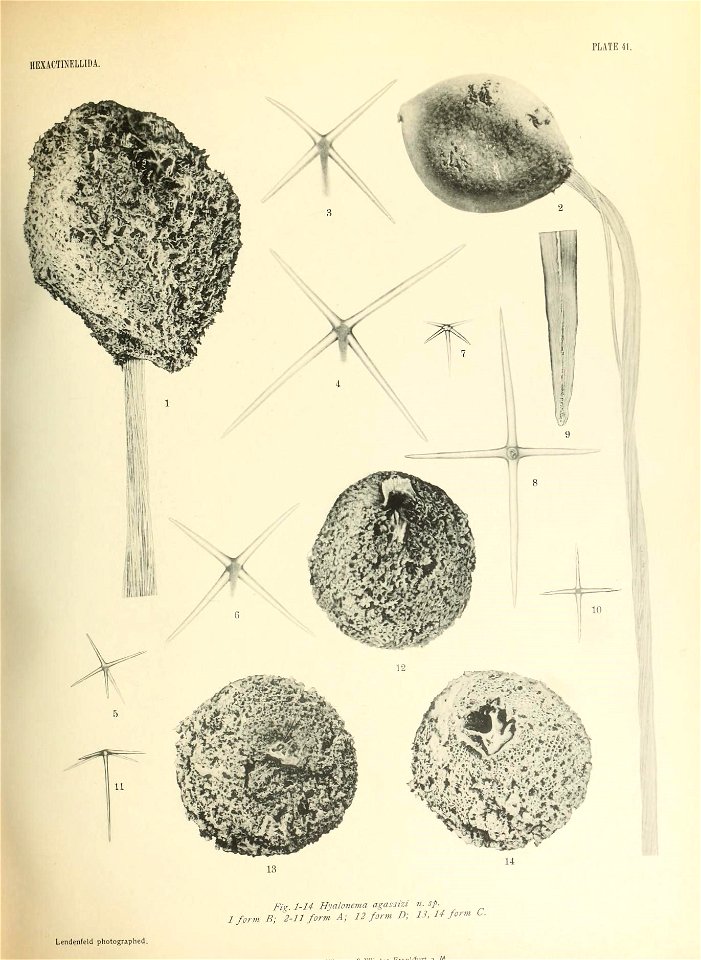 n574_w1150