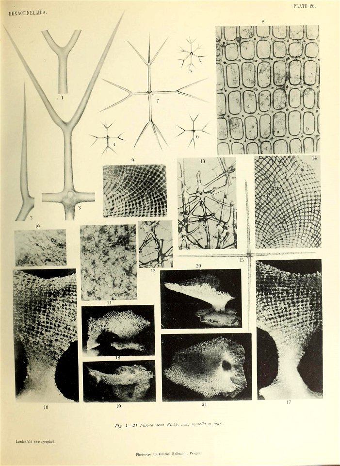 n514_w1150