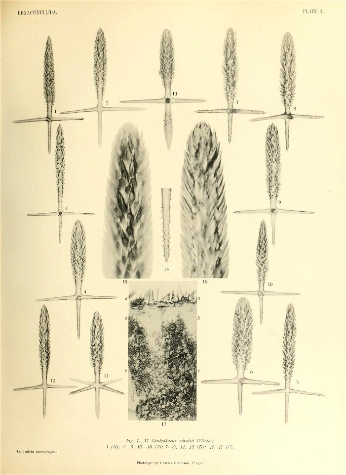 n454_w1150