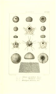 n98_w1150